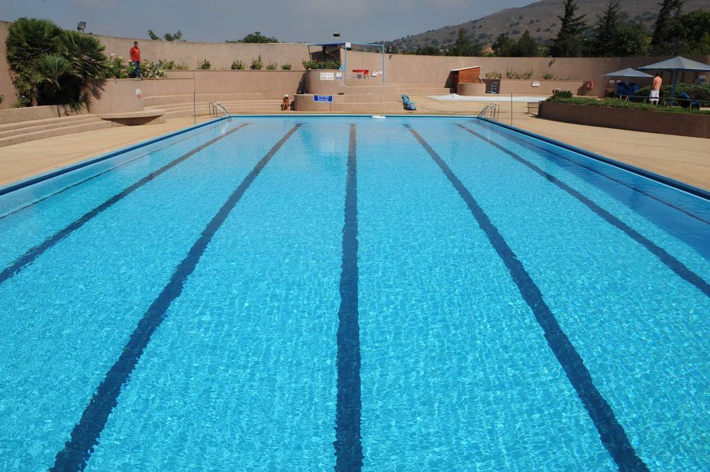 Ein Zivan Village Resort Rum bild